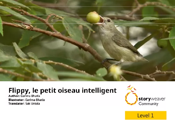 Flippy, le petit oiseau intelligent