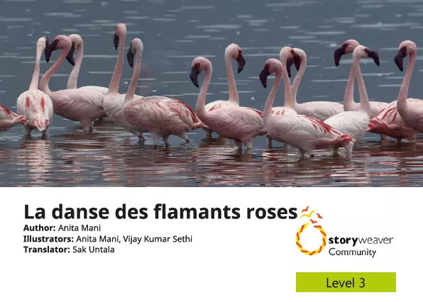 La danse des flamants roses