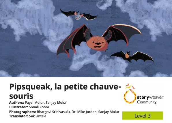 Pipsqueak, la petite chauve-souris